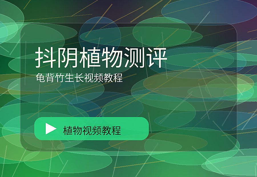 国植一区