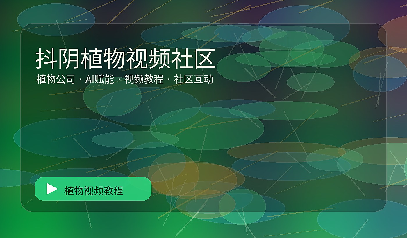国植一区