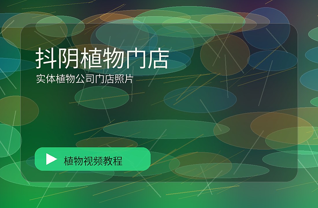 国植一区